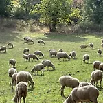 Farm stay La Dimora Dei Cavalieri