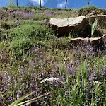La Dimora Dei Cavalieri Farm stay Vaglio di Basilicata