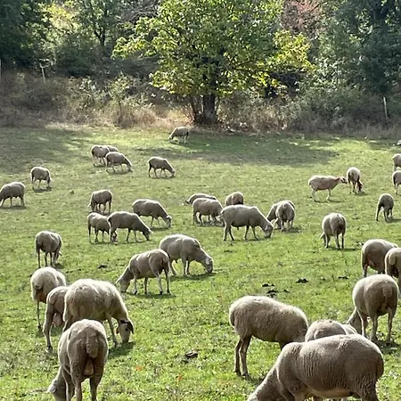 Alloggio per agriturismo La Dimora Dei Cavalieri