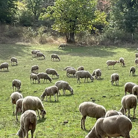 Farm stay La Dimora Dei Cavalieri
