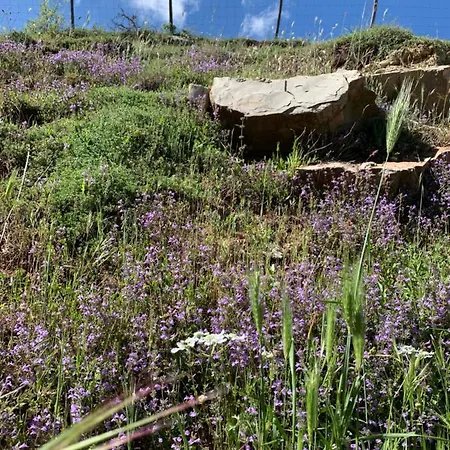 La Dimora Dei Cavalieri Lantgård Vaglio di Basilicata