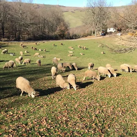 La Dimora Dei Cavalieri Vaglio di Basilicata