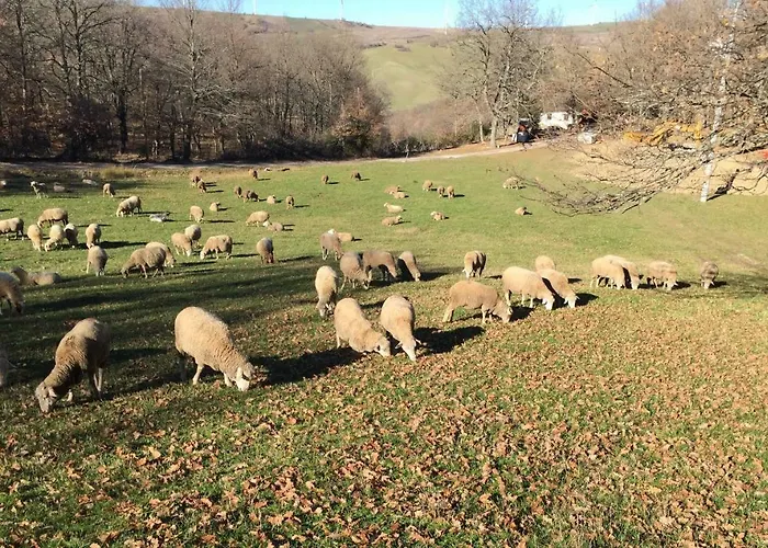 La Dimora Dei Cavalieri Vaglio di Basilicata