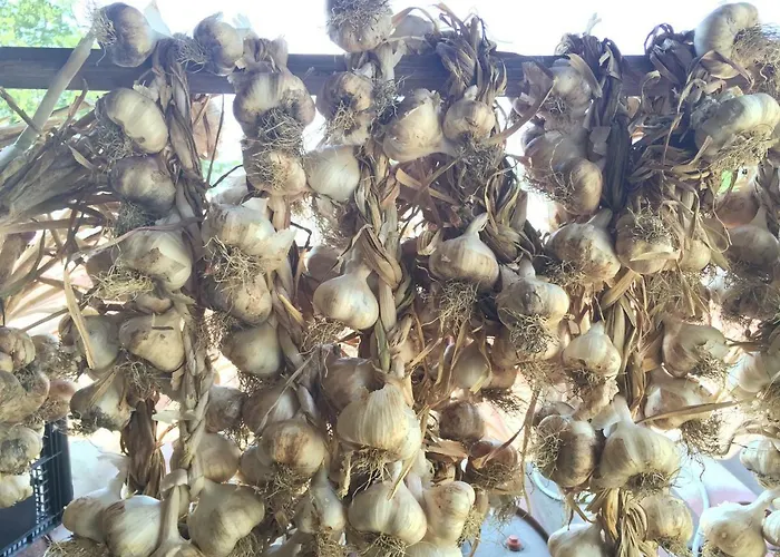 农家乐 La Dimora Dei Cavalieri